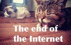 Lil Bub and Grumpy Cat